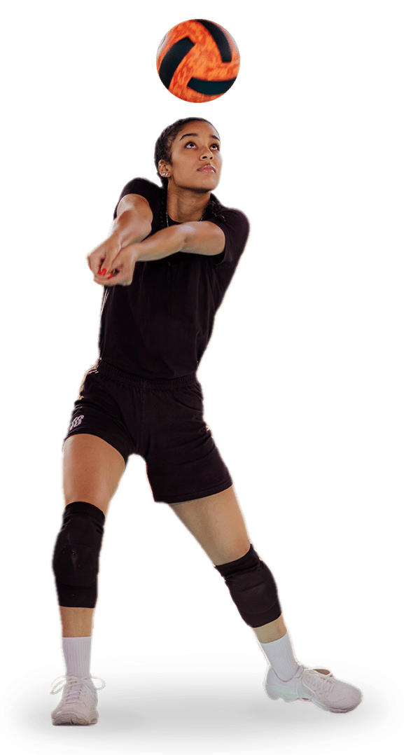 LR_Sport-etude_Volley_Stock.png