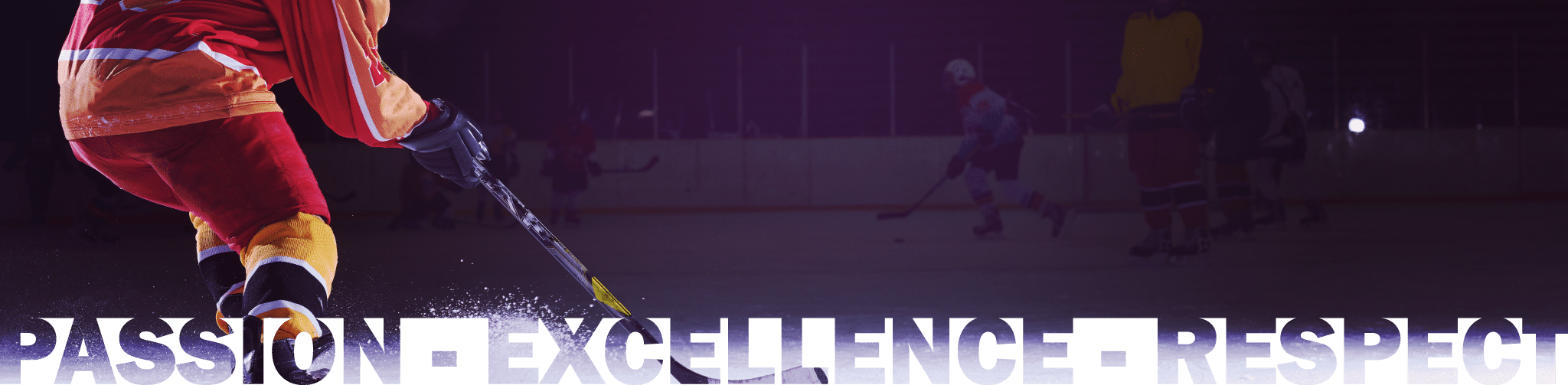 LR-BAN_Hockey.png